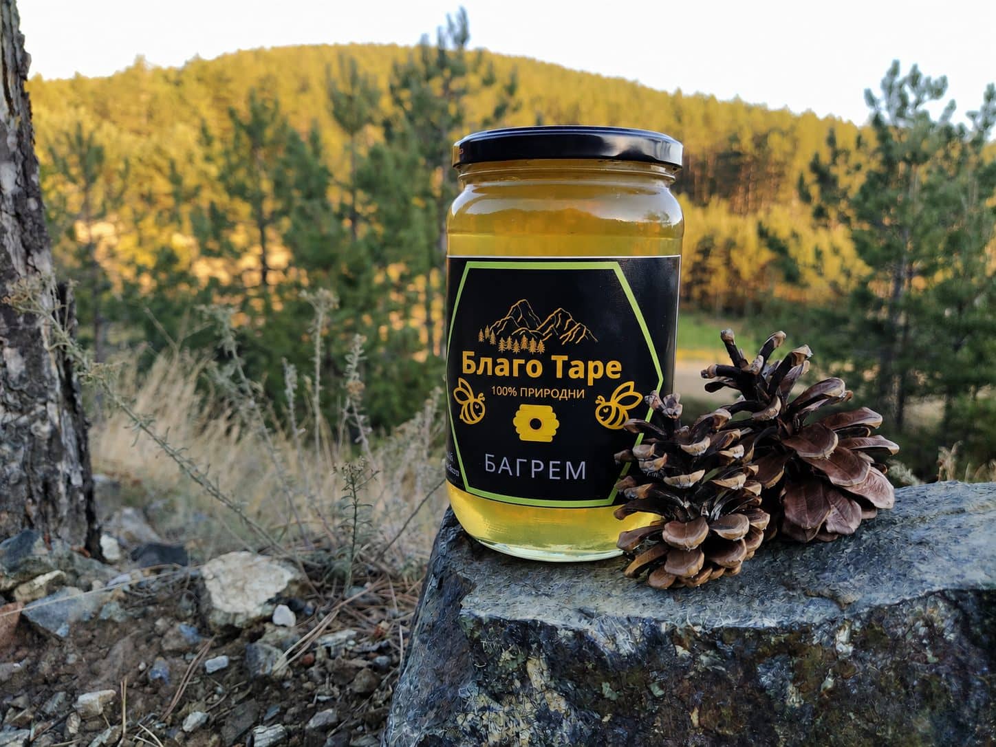 Bagremov med